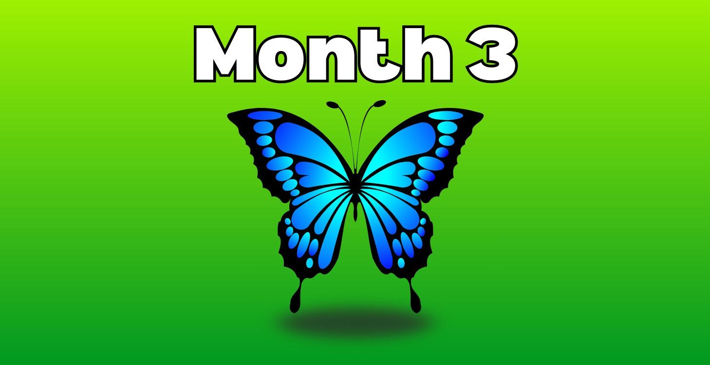 Month 3