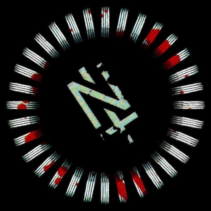 Naiki T