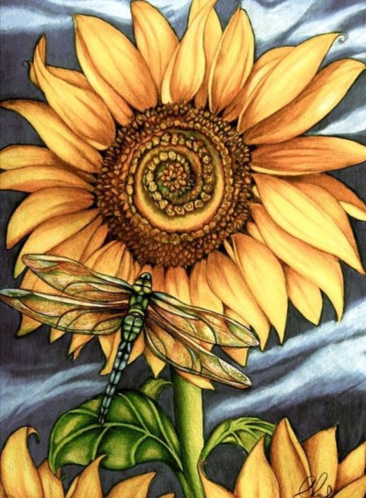 Monkey O'Joy