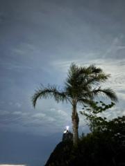 Yewande YoYo Odunubi