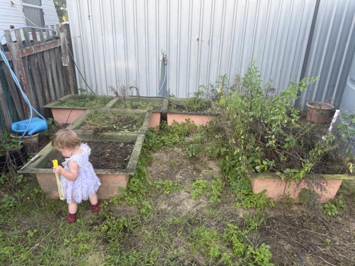 Growth Chapter 💪 Growing Salad Garden 🪏 