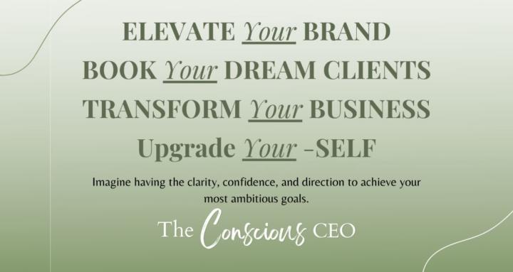 The Conscious CEO