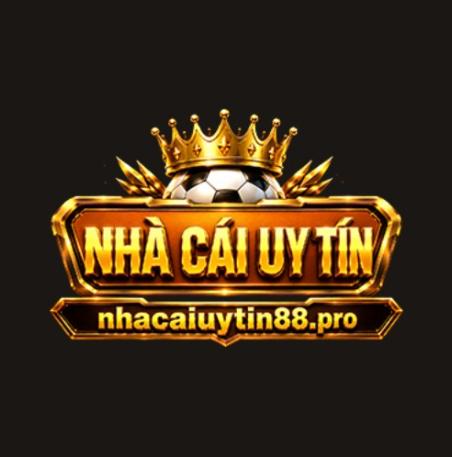 Nhacaiuytin Pro