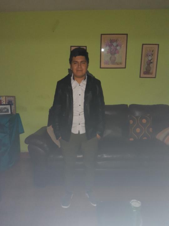 Henry Erik Andia Mamani