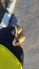 Juan Manuel Gómez Escaño