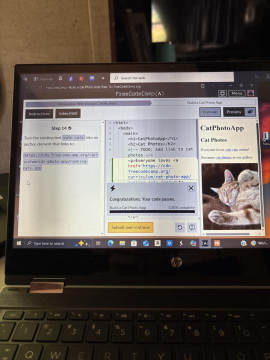 Build a cat photo app