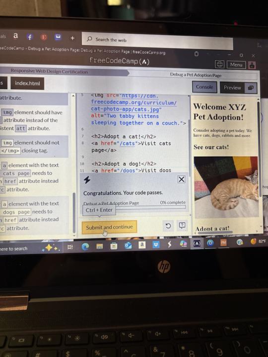 D bugging a pet adoption page