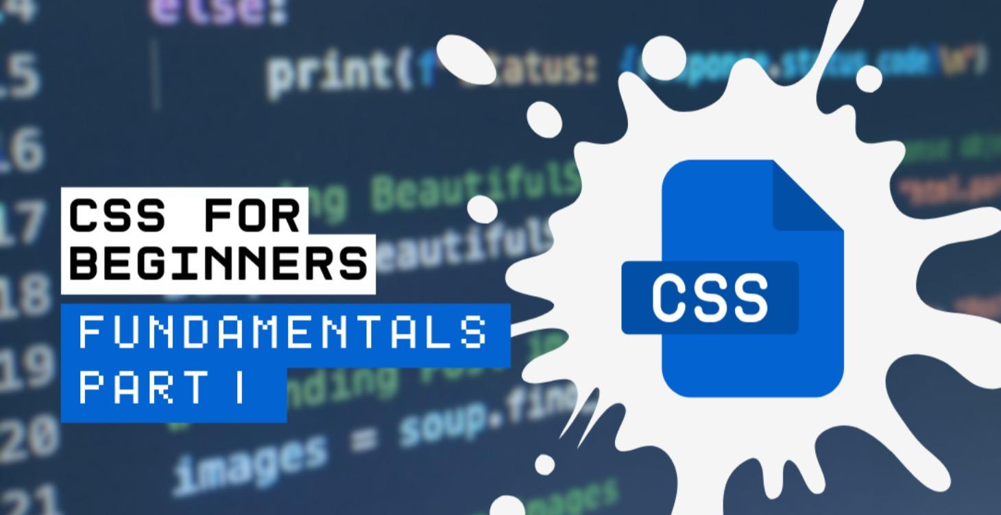Step 2: Web Developer Program
