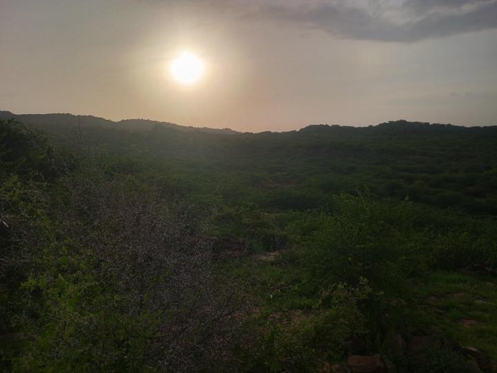 Sahil Solanki
