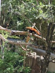 Lourdes M