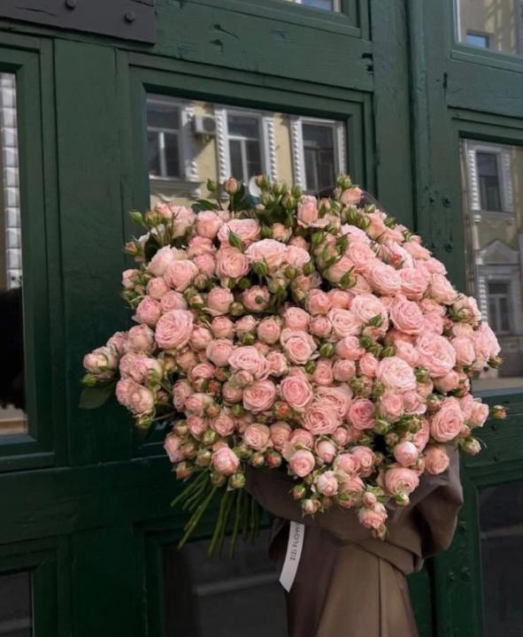 ديمه عبد الله