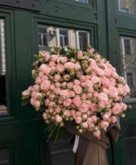 ديمه عبد الله