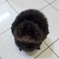 明學 謝