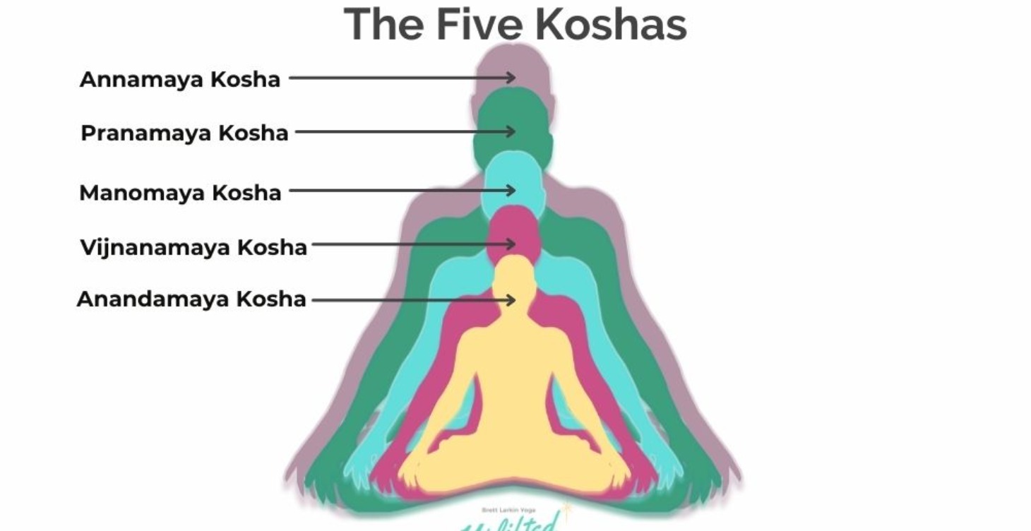 Your Anatomy with Techniques