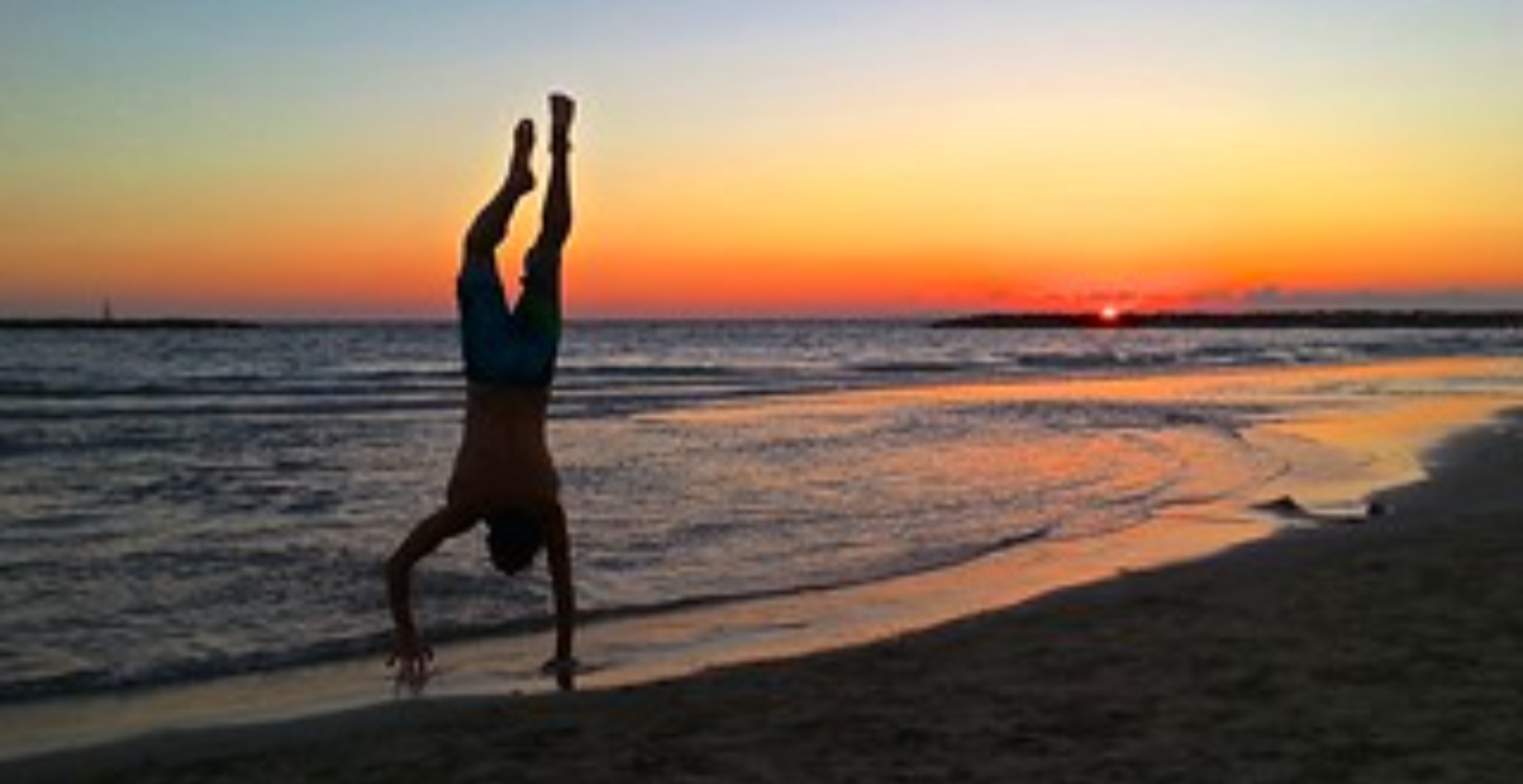 The Lifestyle (Complete)