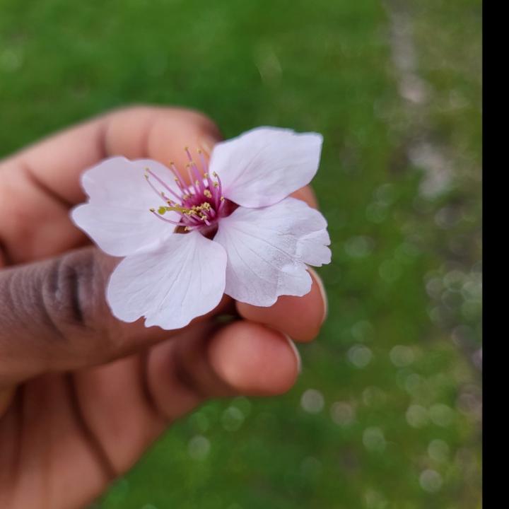 Peace Arlette Munezero