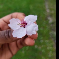 Peace Arlette Munezero