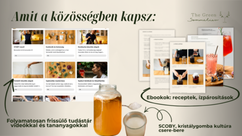 The Green Sommelier közösség gallery image