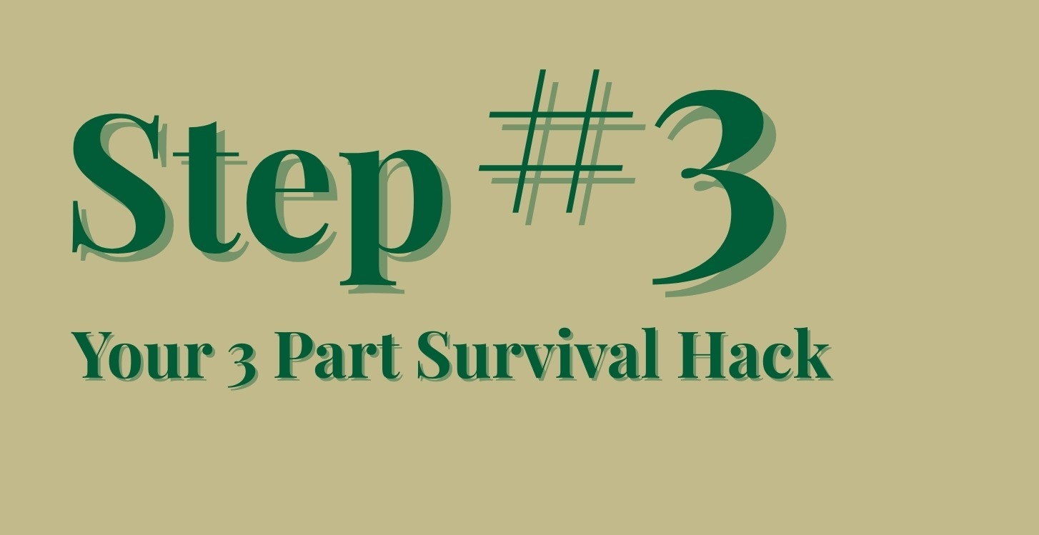 Module #1- Your 3 Part Survival Hack