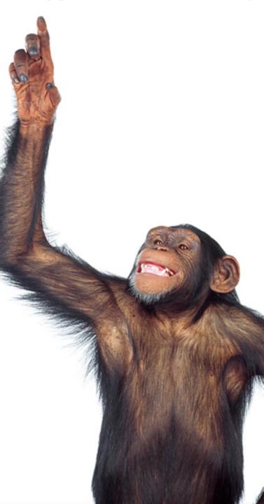 No Yogi left behind! 