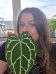 Emilia Plantin
