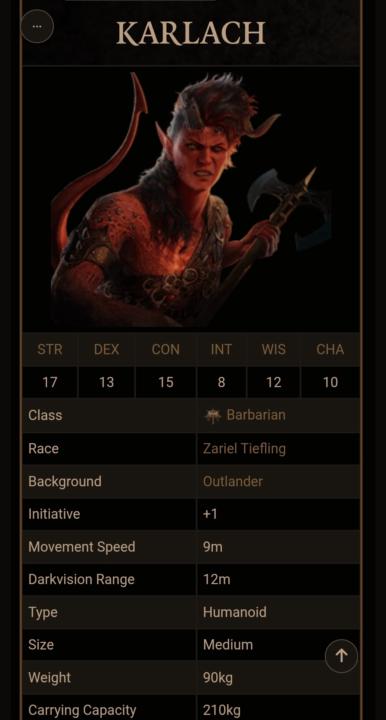 Bg3 Origin Character Run