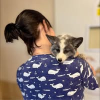 Orsolya Julianna Torda