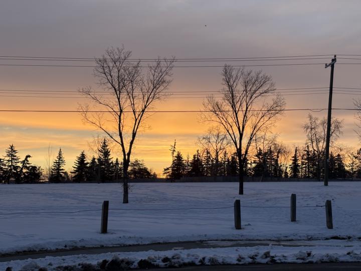 🌿 Daily Metta — Monday, March 16th: Compassion & Release