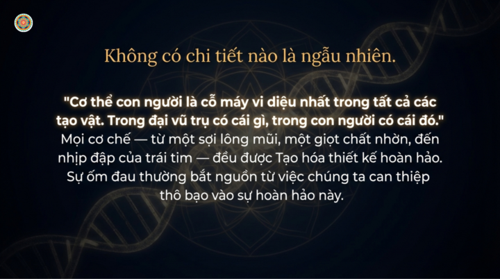 SỰ KỲ DIỆU CỦA CƠ THỂ - HỆ HÔ HẤP 