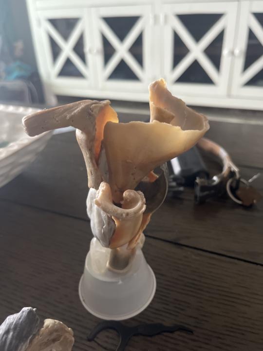 Will post also when finished 