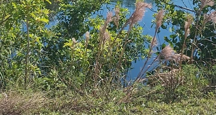 Agriculture/Aquaculture