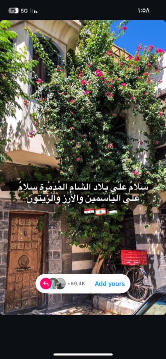 فاطمة الرشيدي