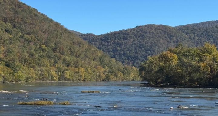 HOT Mess Mom of too many