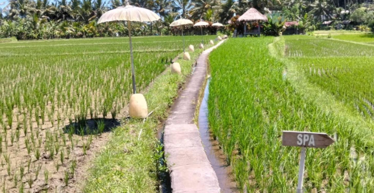 Mind, Body and Soul for Travellers