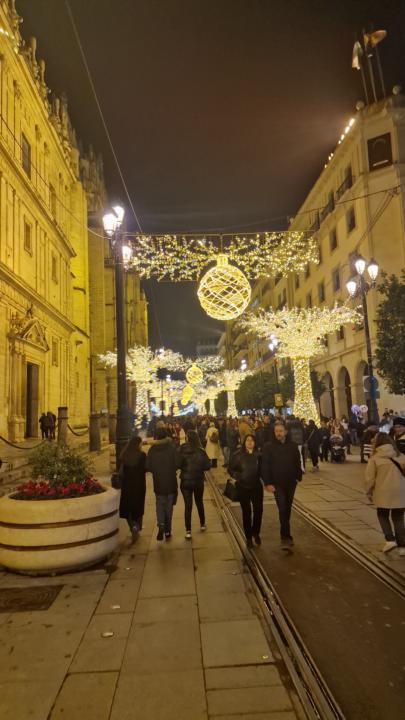 Merry Christmas/Happy Holidays