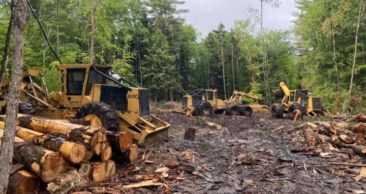 The Logging Network