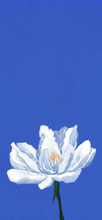 Joyce Kelly