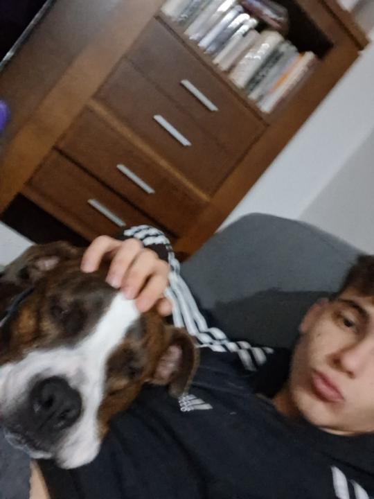 Diego Alamar Navarro