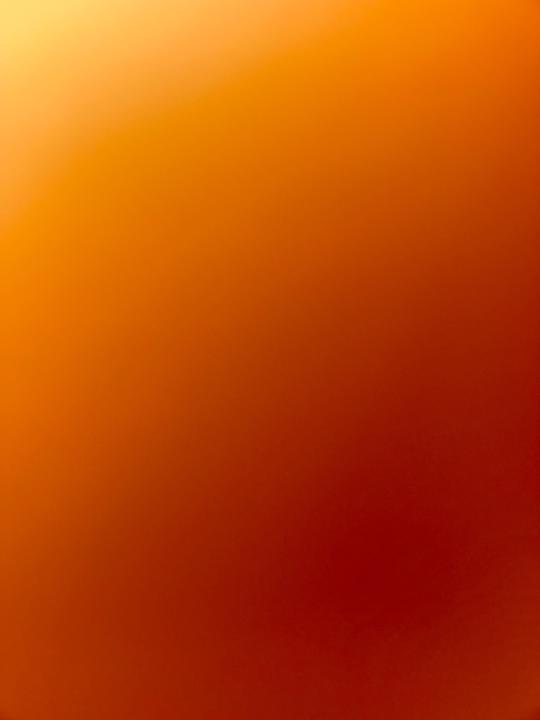 Ylana Pozo Gastaldello