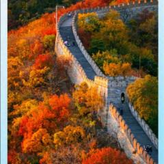 Delgermaa Amarjargal