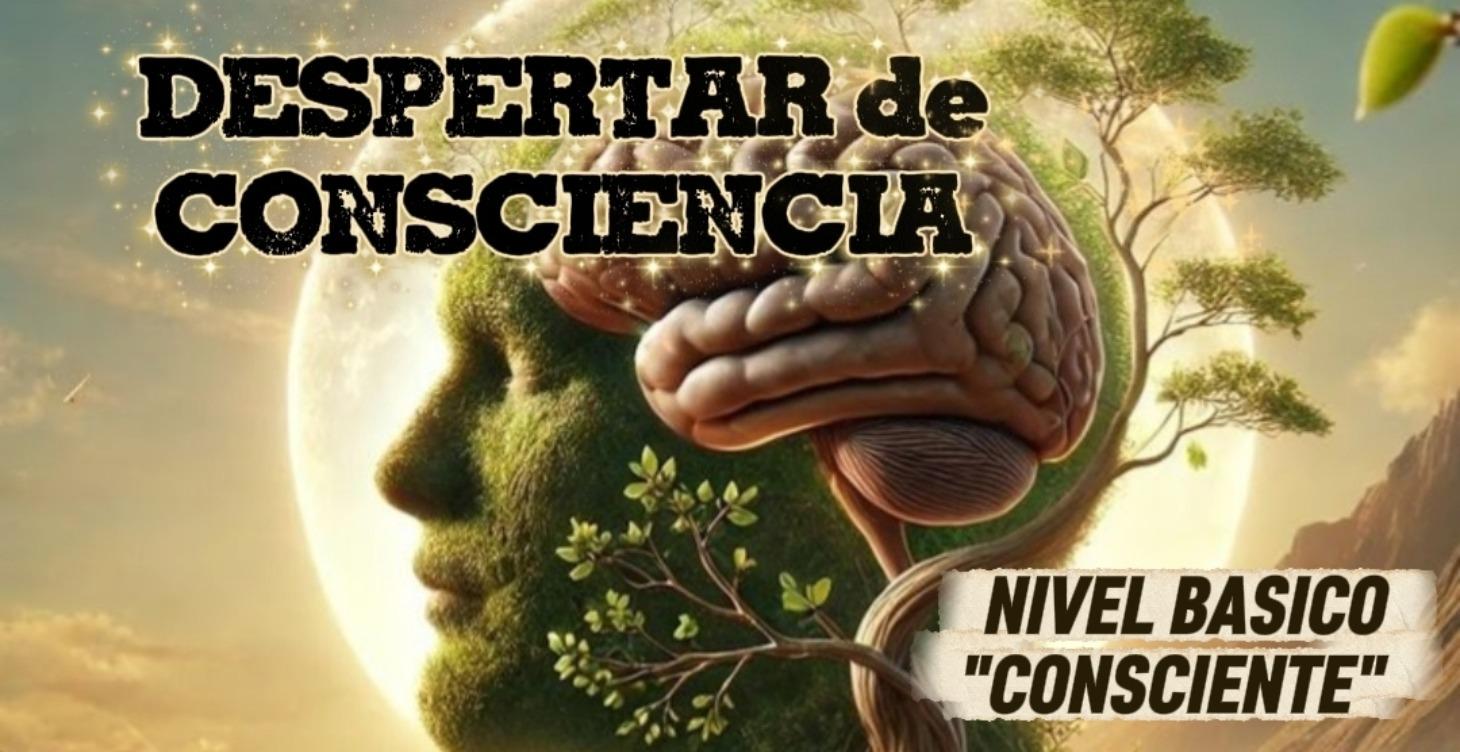Despertar de Consciencia.