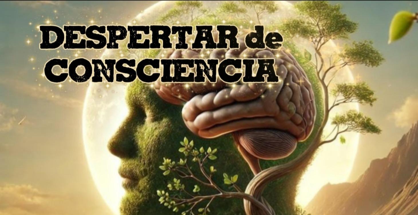Despertar de Consciencia.