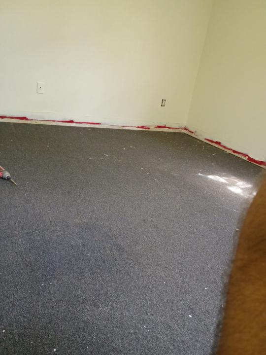 Plank flooring...easy? Well let's see ....