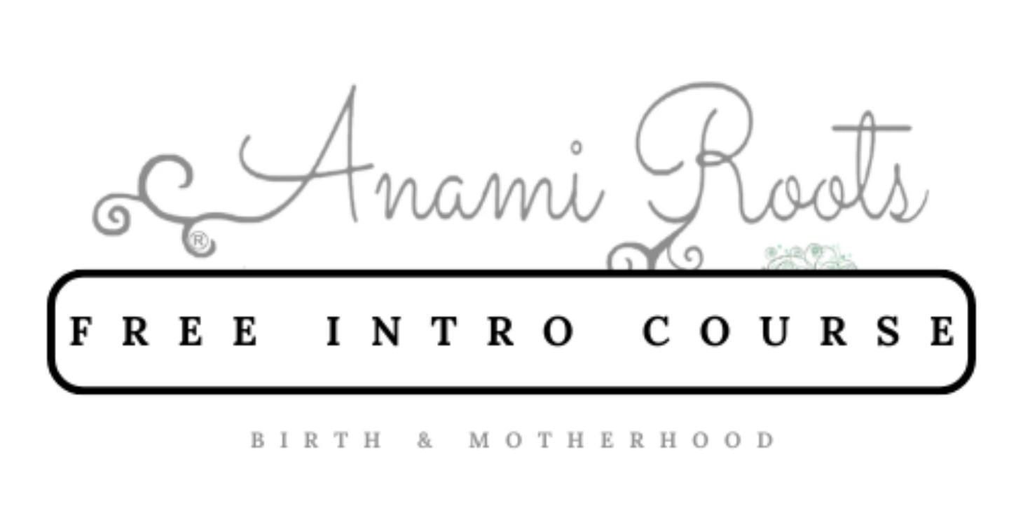 Free Course - Intro to Conscious Birth Support