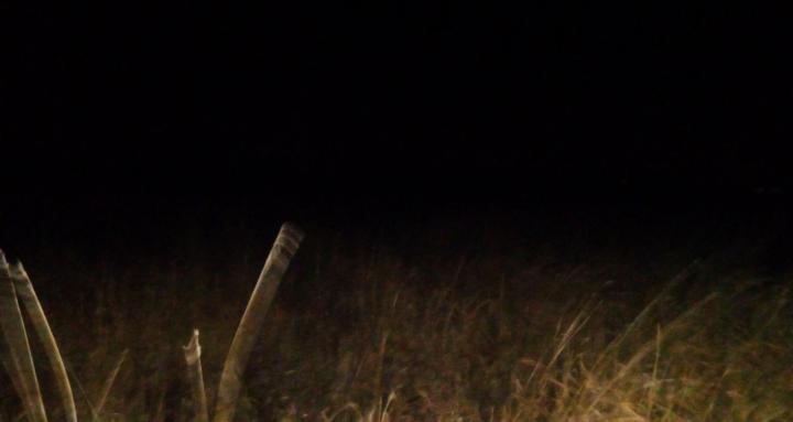 AcrossTheField And Other Tales