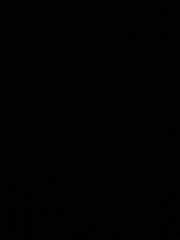 Ali Flash