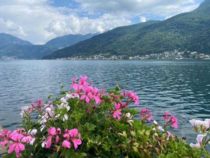 Inta L