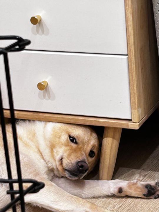昱 文