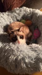 Marta Domínguez Martínez