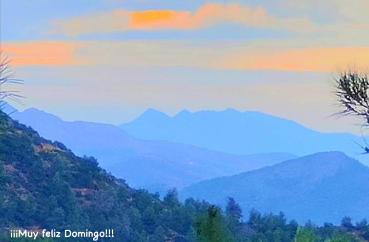 Lourdes Perello Bosch